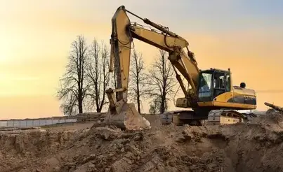abattage d'arbre à Carentan - image 2