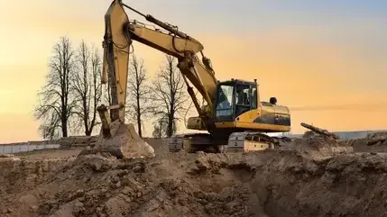 abattage d'arbre Condé-sur-Vire-1