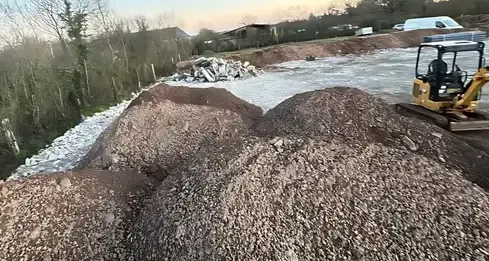 abattage d'arbre à Condé-sur-Vire - image 4