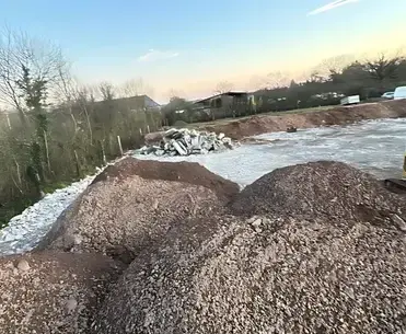 abattage d'arbre Créances-1