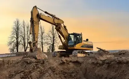 abattage d'arbre à Créances - image 2