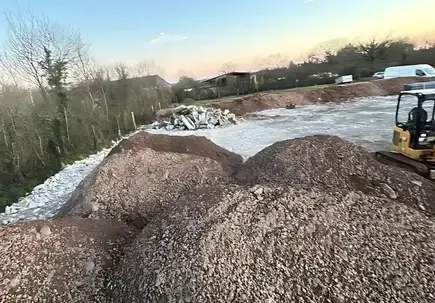 abattage d'arbre à Picauville - image 4