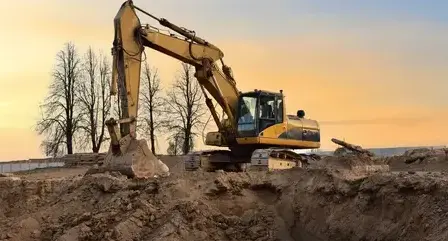 abattage d'arbre à Saint-Lô - image 3