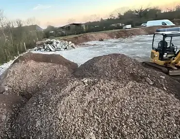 abattage d'arbre Saint-Lô-5